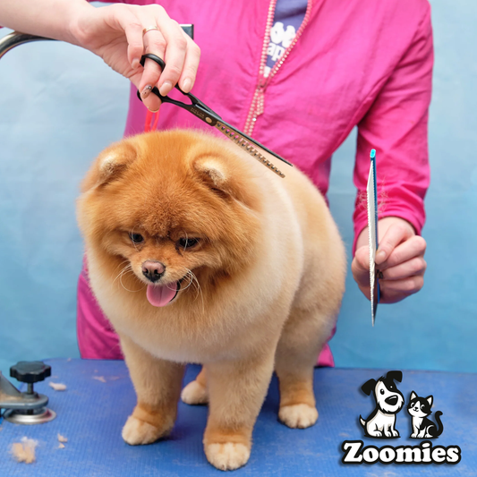 The Ultimate Pet Grooming Guide: Keep Your Furry Friend Looking Fresh