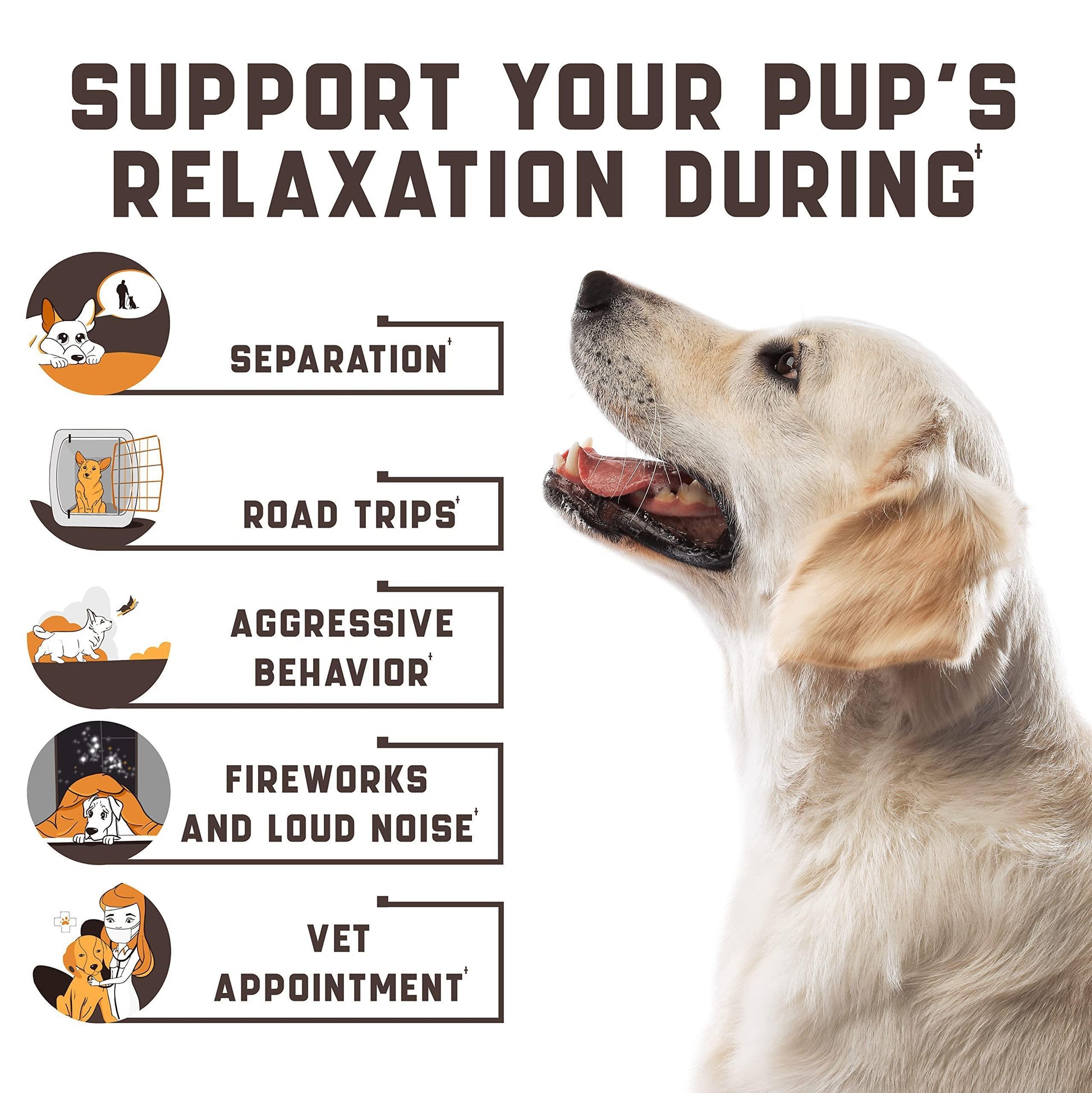 Calming Chews for Labrador Dogs - Zoomies
