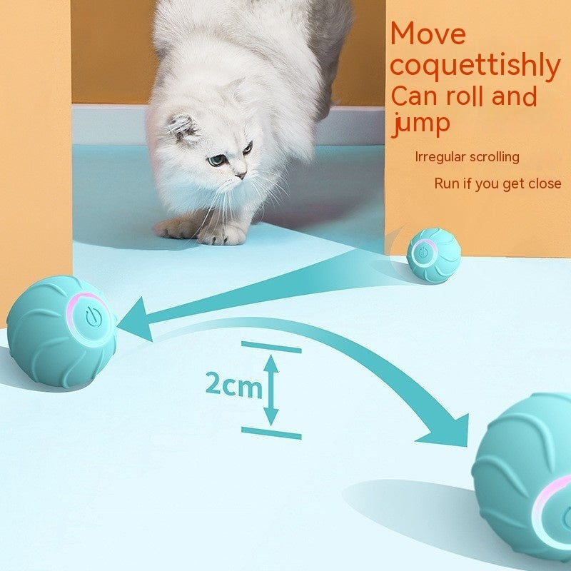 Rolling Ball Interactive Pets Toys - Zoomies