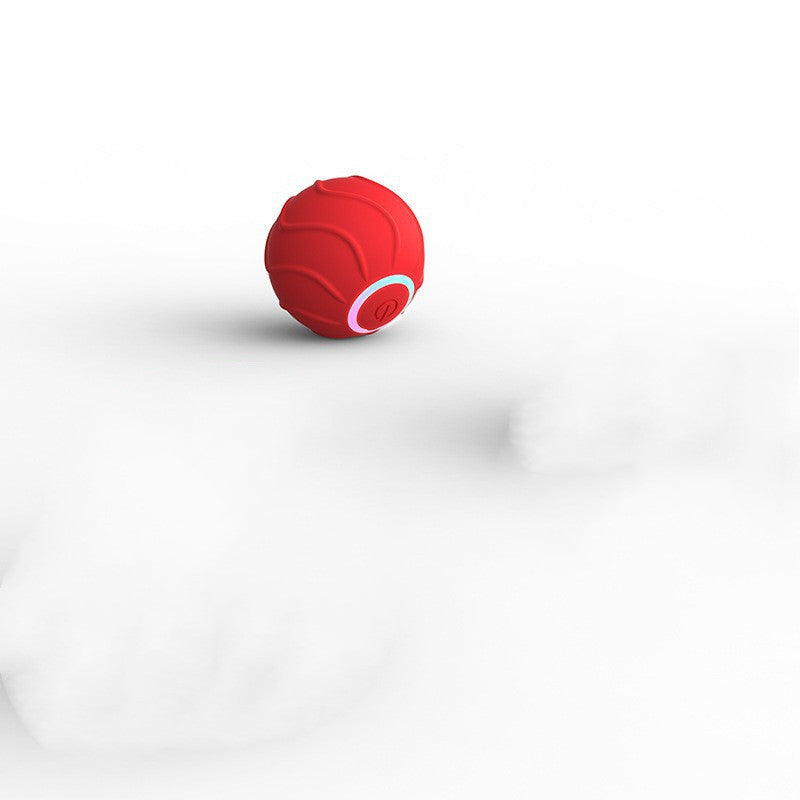 Rolling Ball Interactive Pets Toys - Zoomies