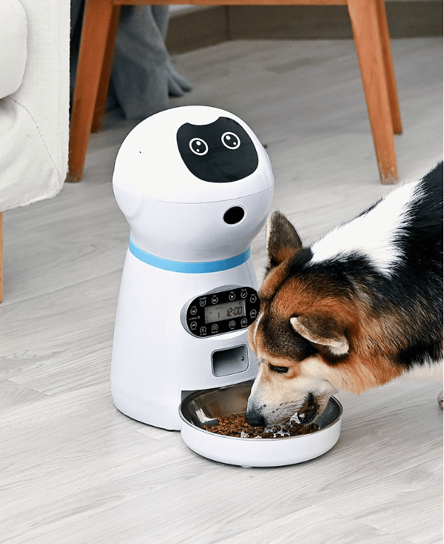 Pawsomefeed Automatic Pet Feeder - Zoomies