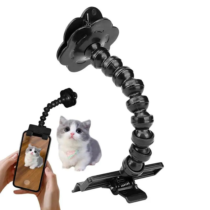 Pet Photography Tool - Zoomies