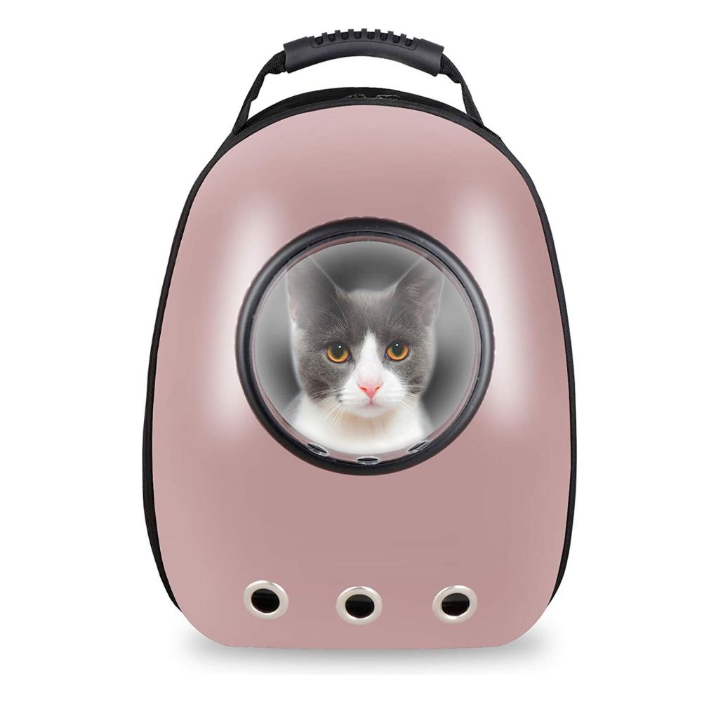 Pet Hardshell Traveling Backpack - Zoomies