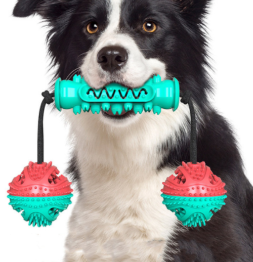 Dog Chew Toys Pet Toothbrush - Zoomies