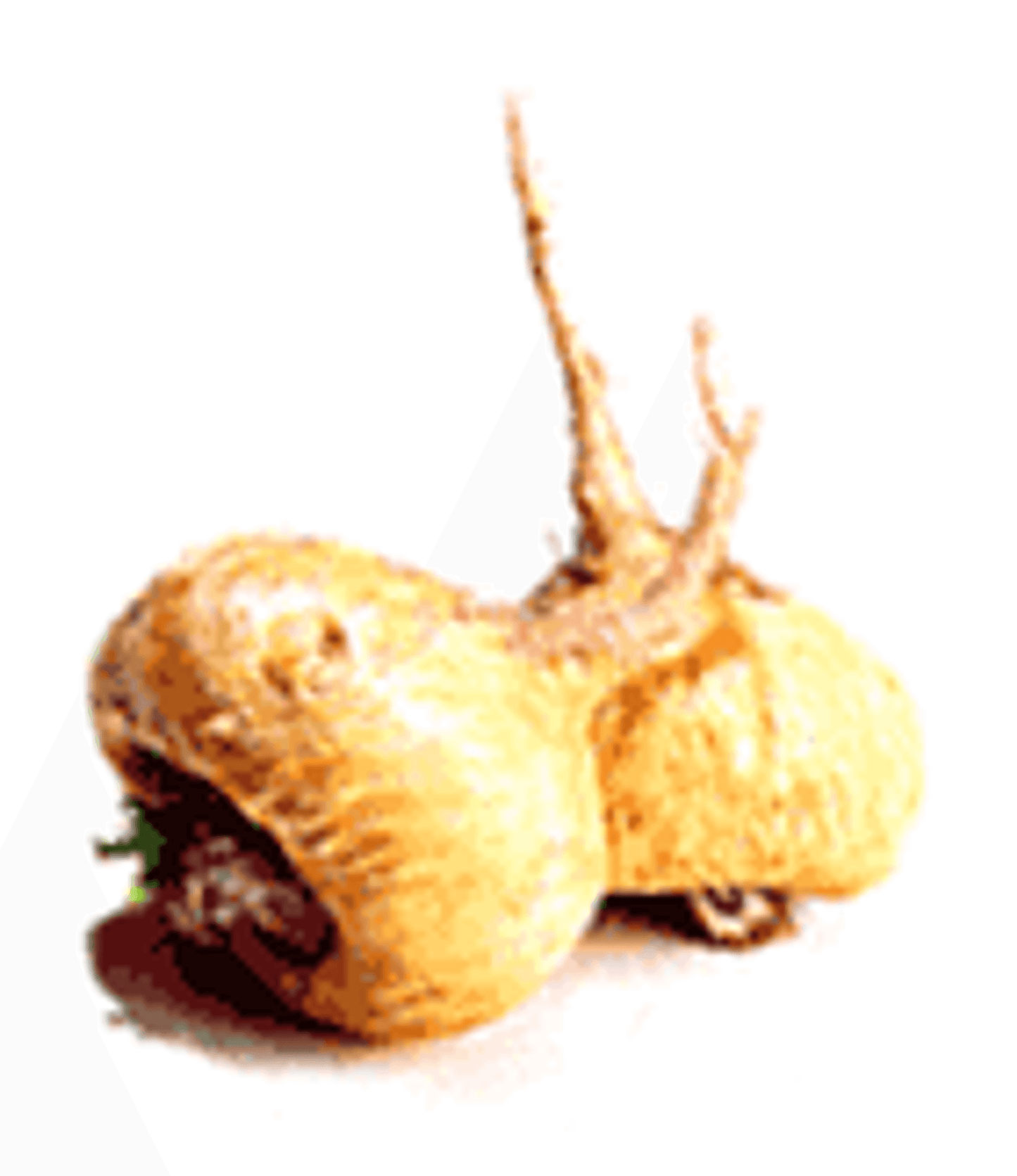 Organic Maca Meal Topper - Zoomies