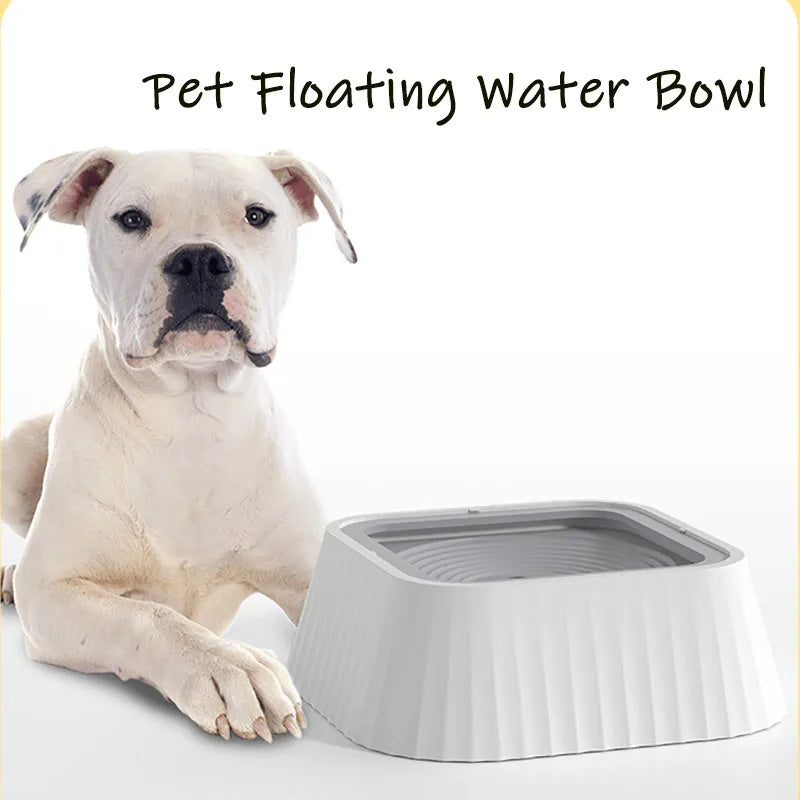 Floating Bowl Water Drinker - Zoomies