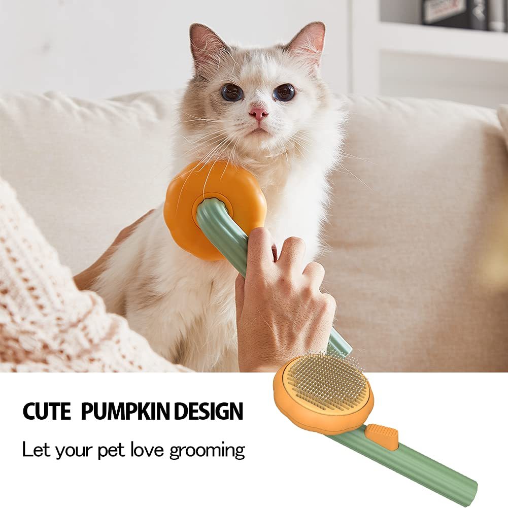 Pet Pumpkin Brush - Zoomies