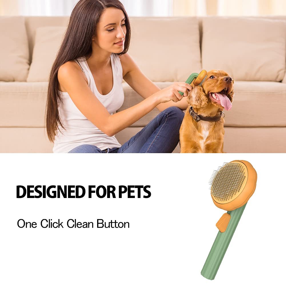 Pet Pumpkin Brush - Zoomies