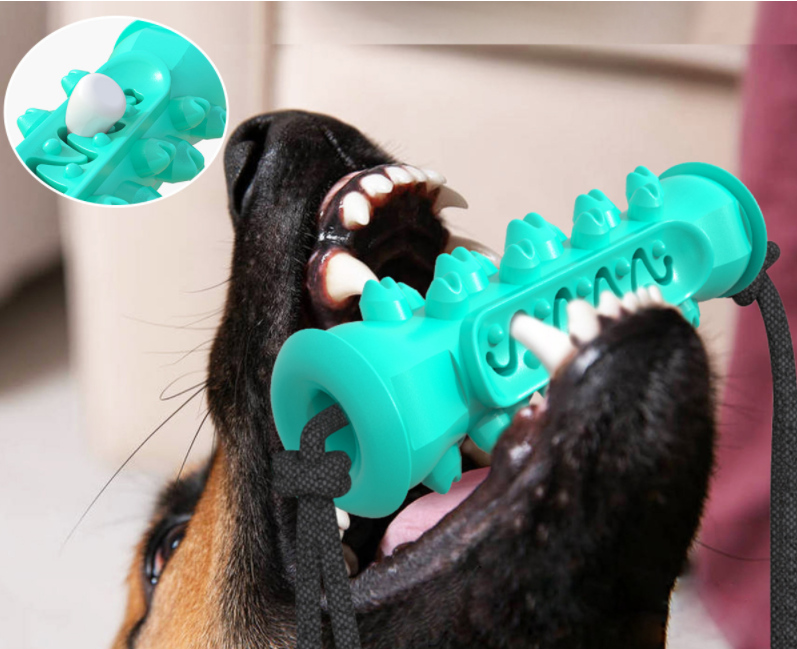 Dog Chew Toys Pet Toothbrush - Zoomies