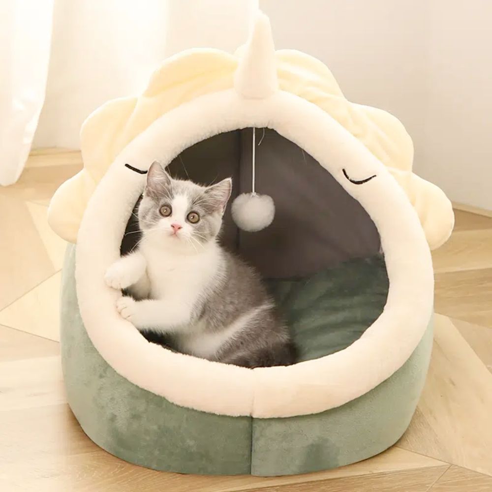 Adorable Dinosaur Pet House - Zoomies