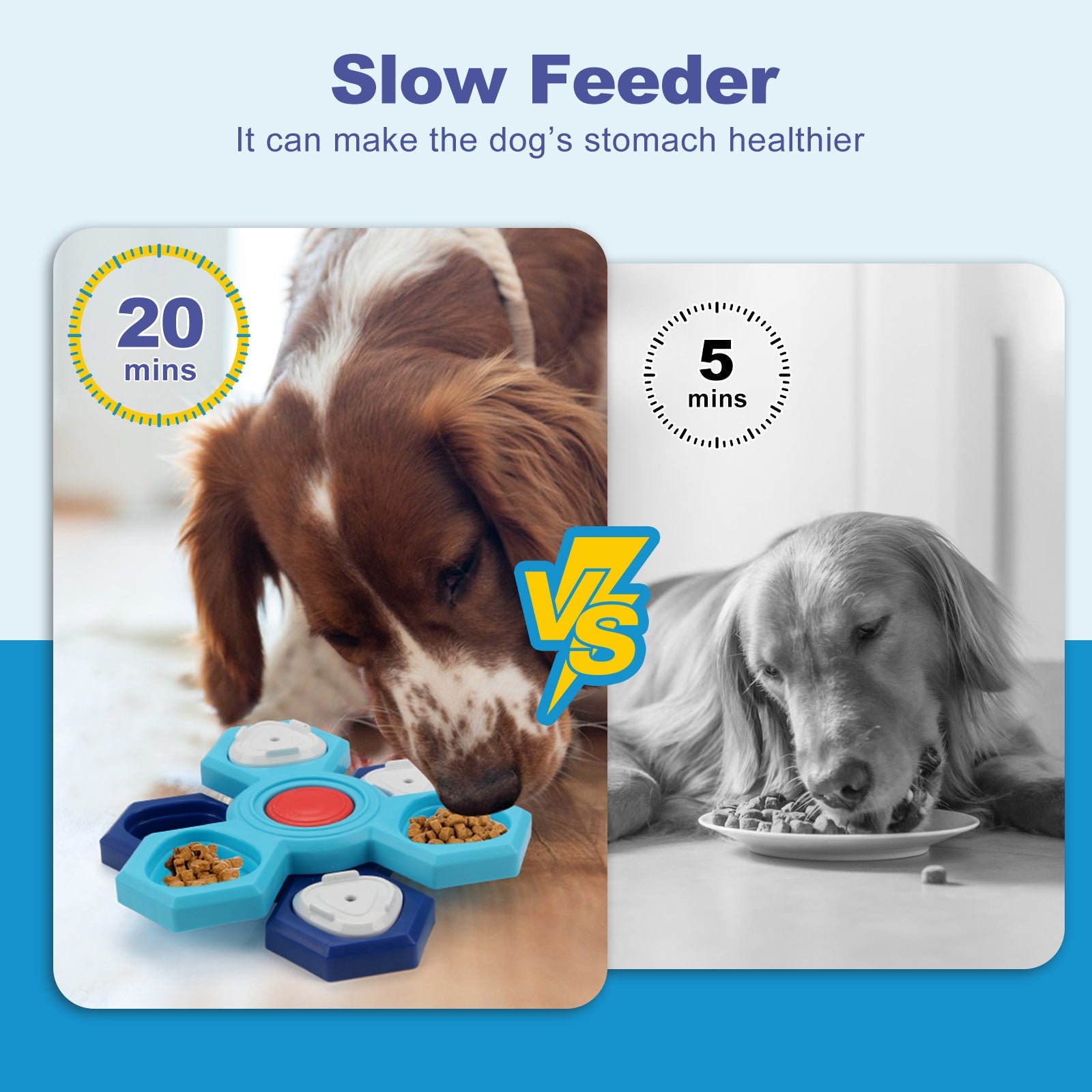 4 Layers Slow Feeder - Zoomies