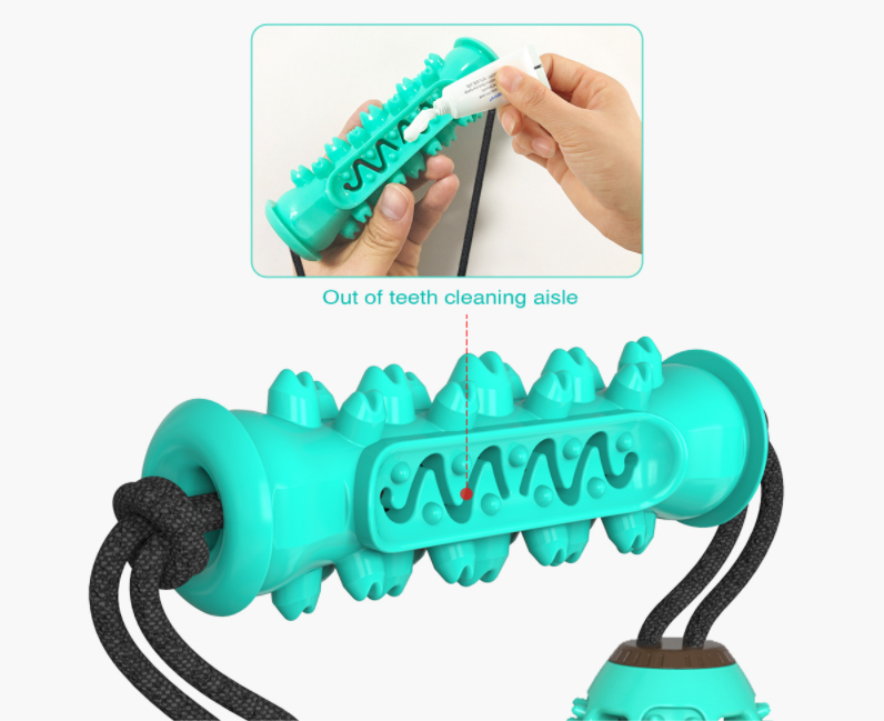 Dog Chew Toys Pet Toothbrush - Zoomies