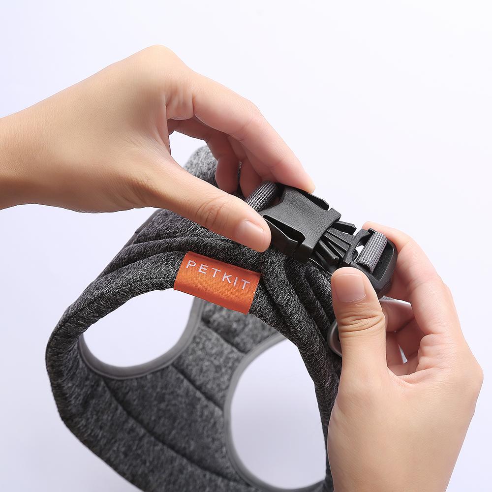 Air Pro Dog Harness - Zoomies