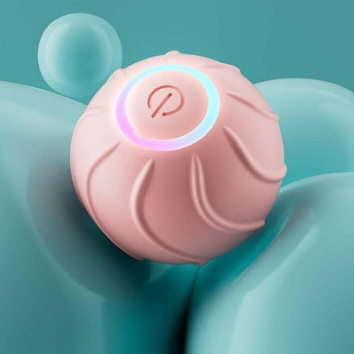 Rolling Ball Interactive Pets Toys - Zoomies
