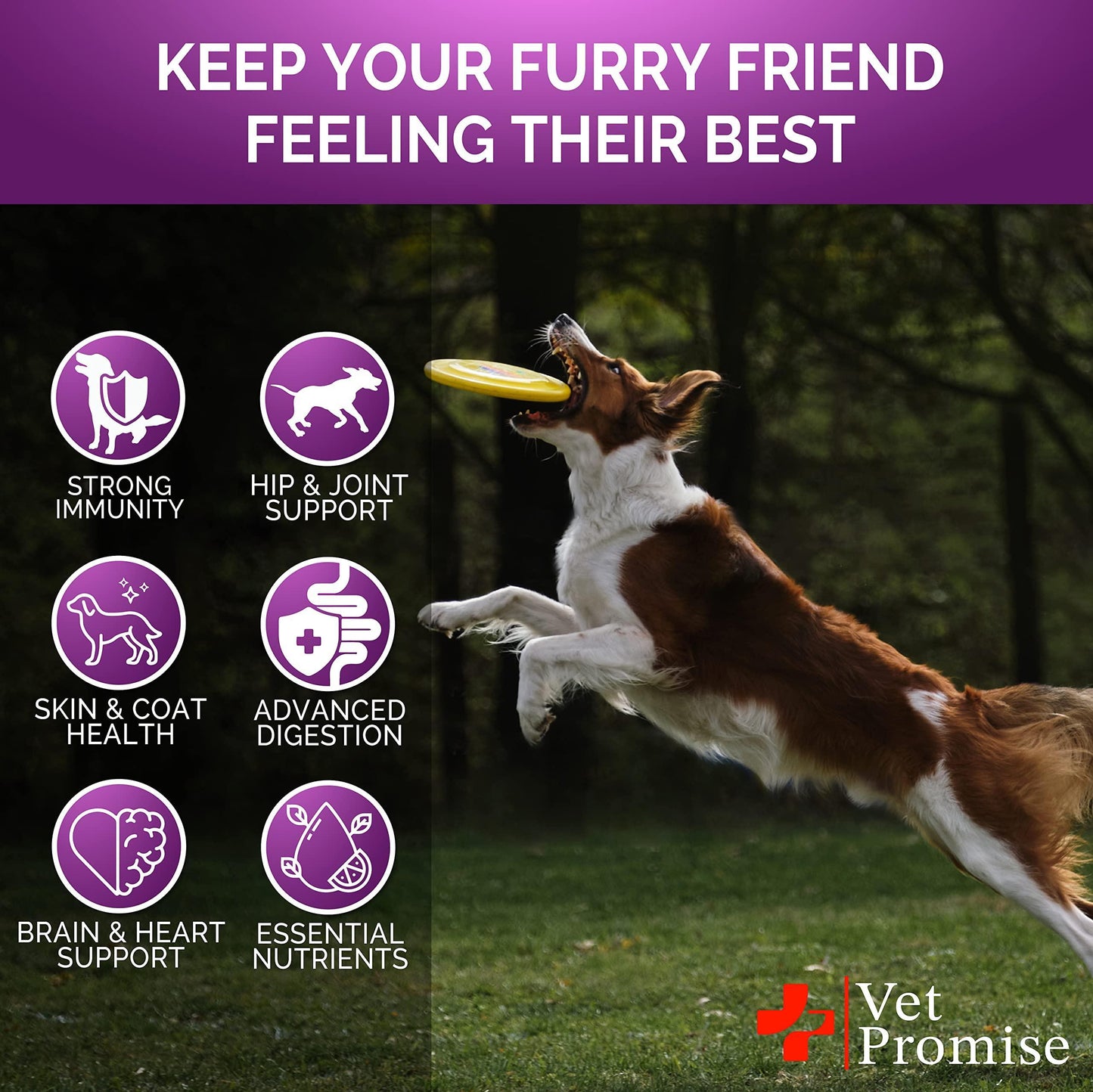 Dog Multivitamin Chewable - Zoomies
