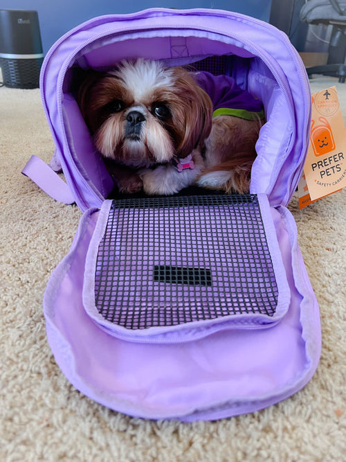 312 Hideaway™ Duffel - Zoomies