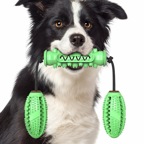 Dog Chew Toys Pet Toothbrush - Zoomies
