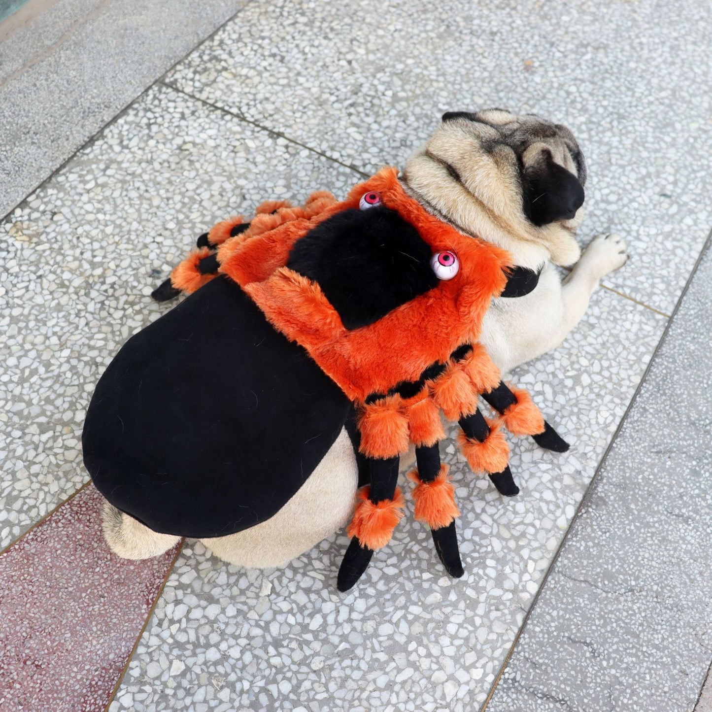 Halloween Spider Pet Costume - Zoomies