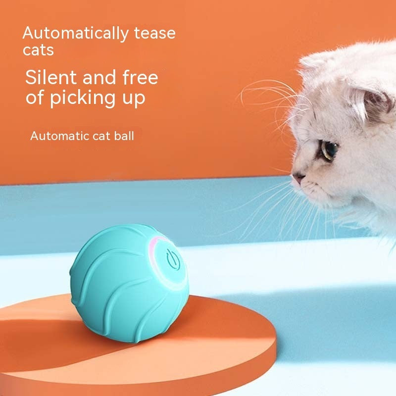 Rolling Ball Interactive Pets Toys - Zoomies