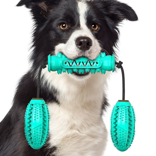 Dog Chew Toys Pet Toothbrush - Zoomies