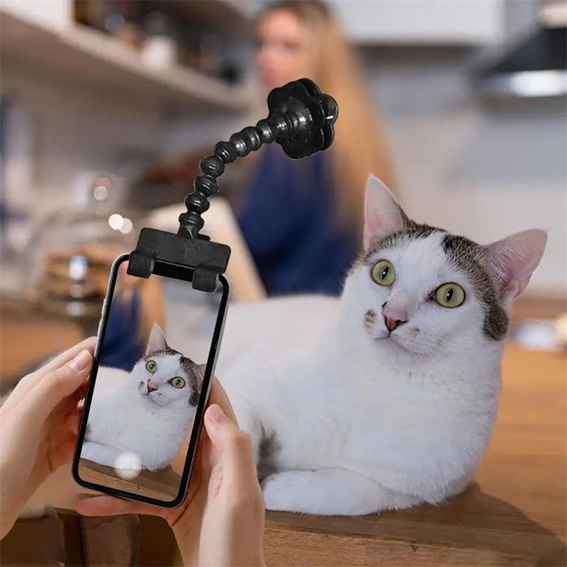 Pet Photography Tool - Zoomies
