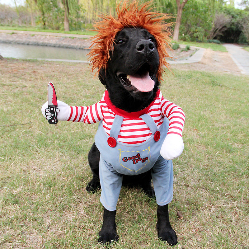 Halloween Pet Costume - Zoomies