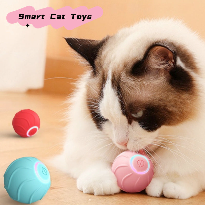 Rolling Ball Interactive Pets Toys - Zoomies