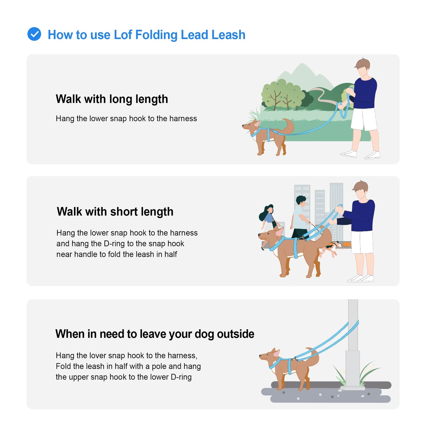 Lof Folding Lead Leash - Zoomies