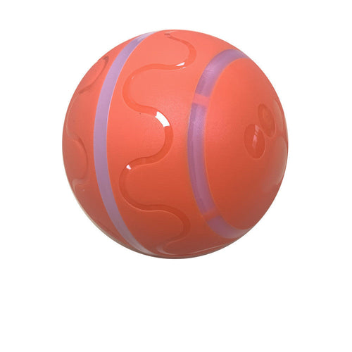 Pet Wicked Ball Toy - Zoomies