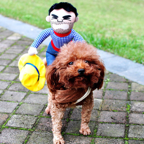 Halloween Pet Costume - Zoomies