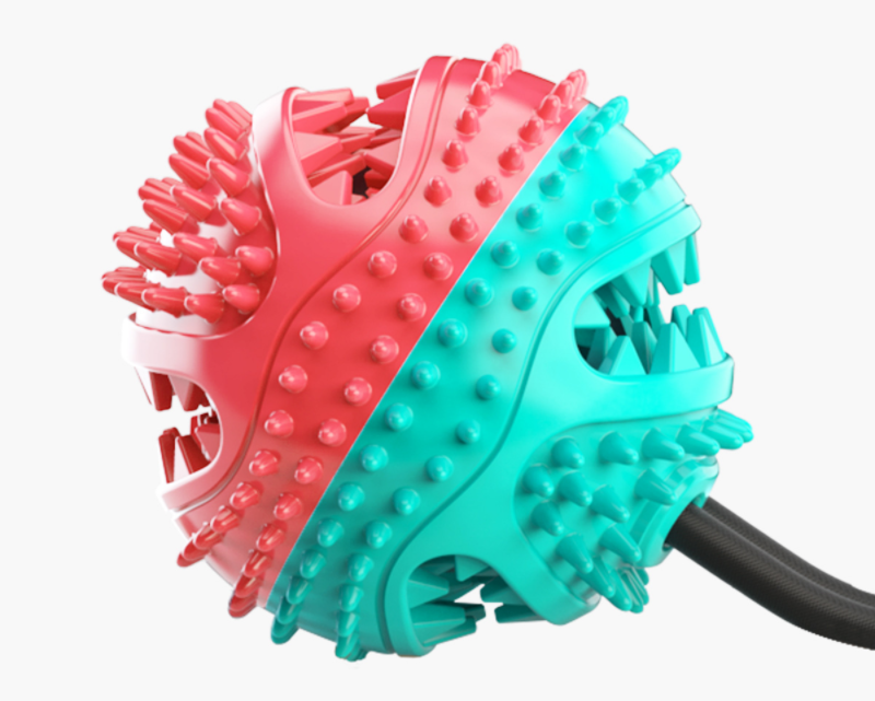 Dog Chew Toys Pet Toothbrush - Zoomies