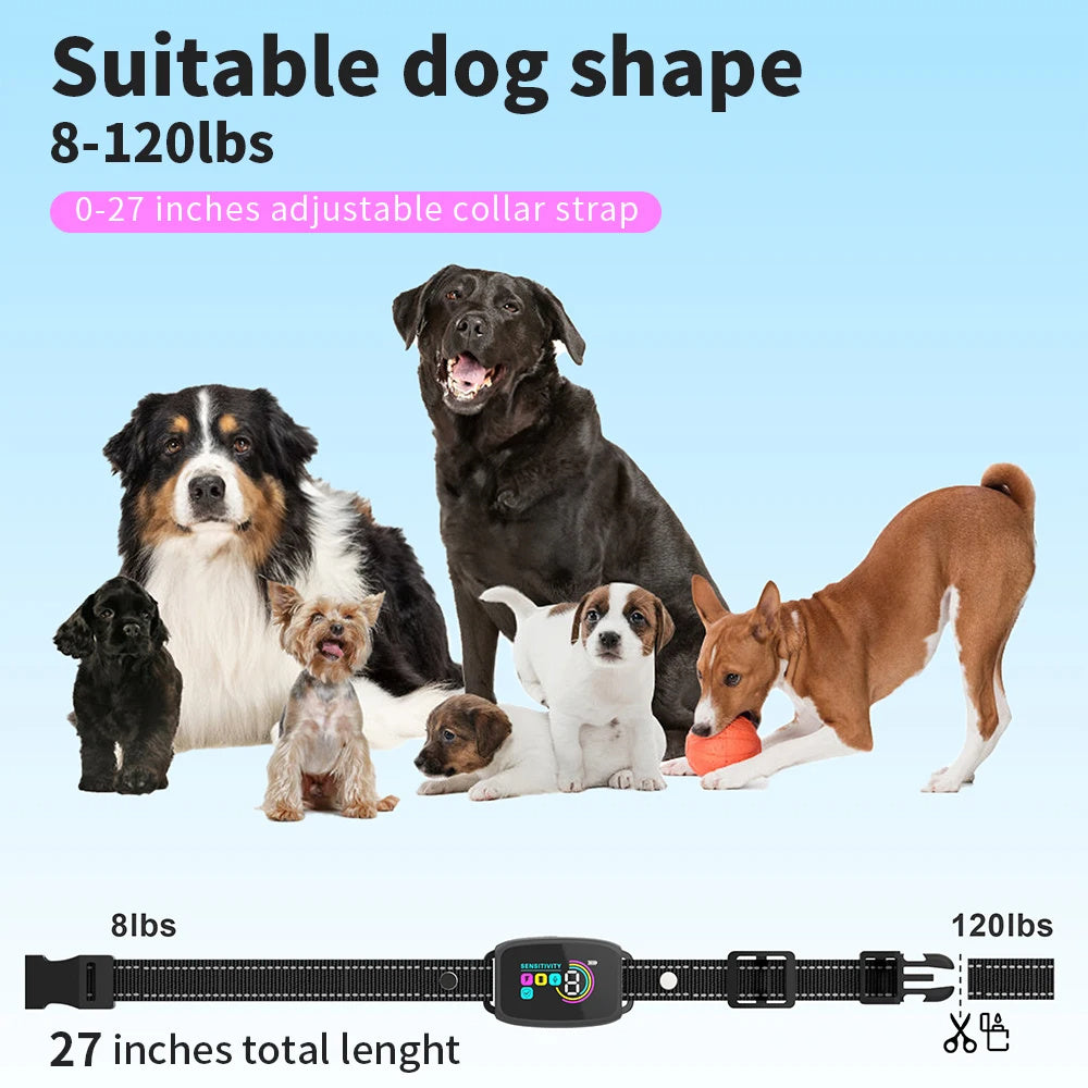 Smart Anti Barking Dog Collar - Zoomies