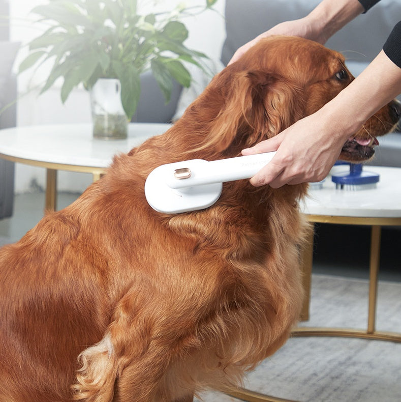 Pet Hair Removal Brush - Zoomies