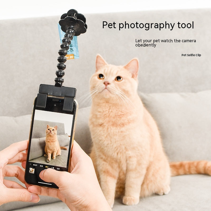 Pet Photography Tool - Zoomies