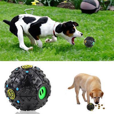 Treat Dispensing Pet Toy - Zoomies