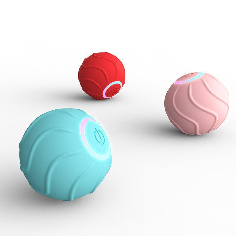 Rolling Ball Interactive Pets Toys - Zoomies
