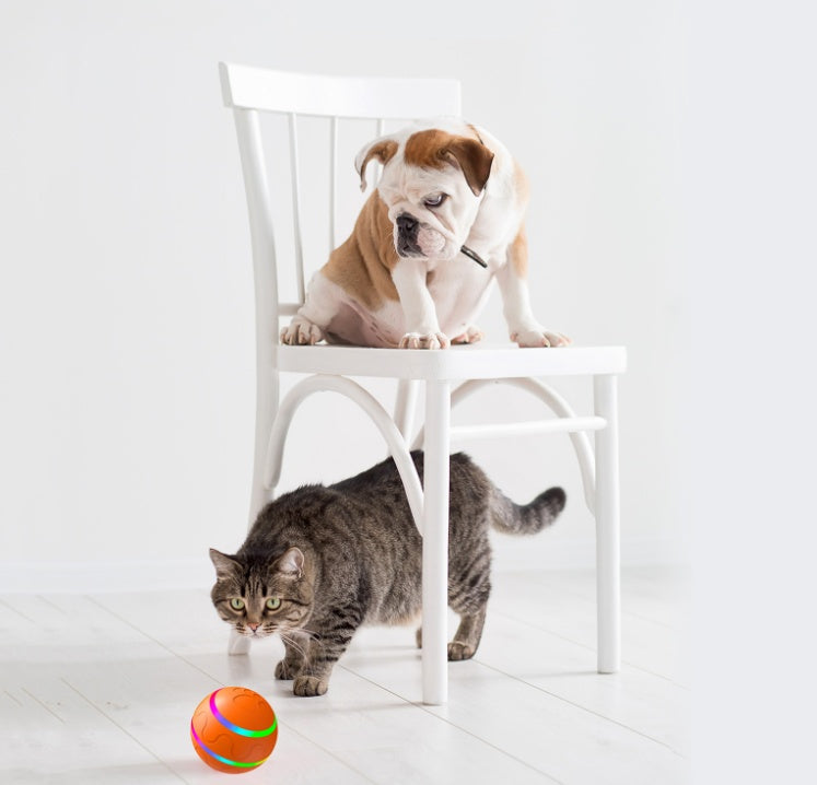 Pet Wicked Ball Toy - Zoomies