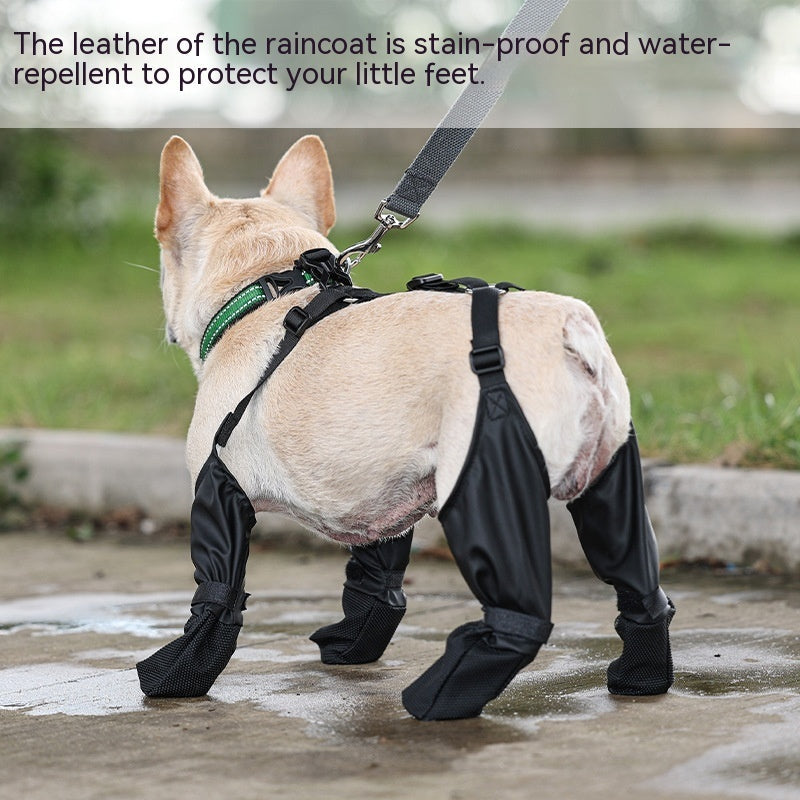 Waterproof Dog Shoes - Zoomies