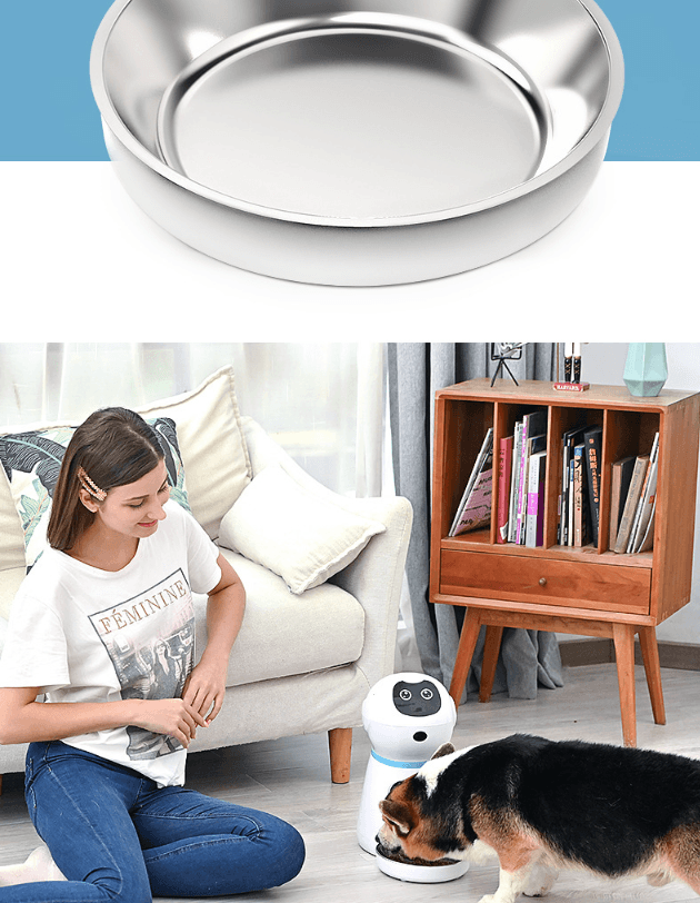 Pawsomefeed Automatic Pet Feeder - Zoomies