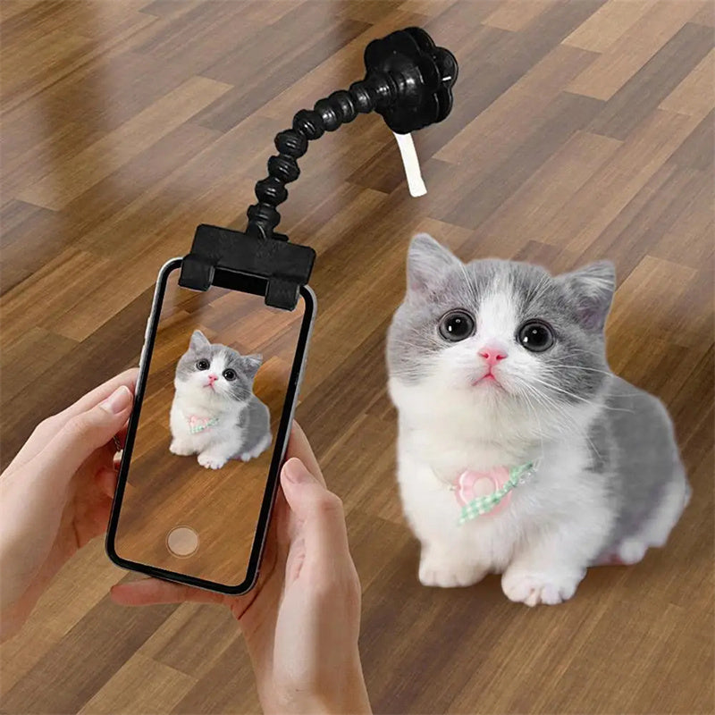 Pet Photography Tool - Zoomies