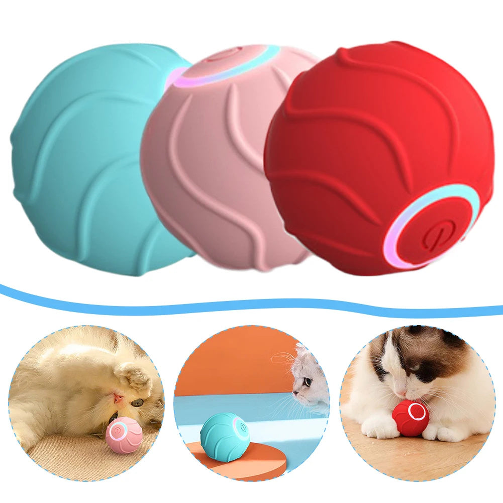 Rolling Ball Interactive Pets Toys - Zoomies