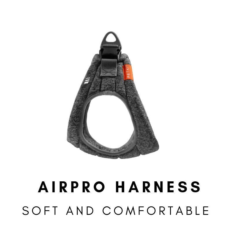 Air Pro Dog Harness - Zoomies