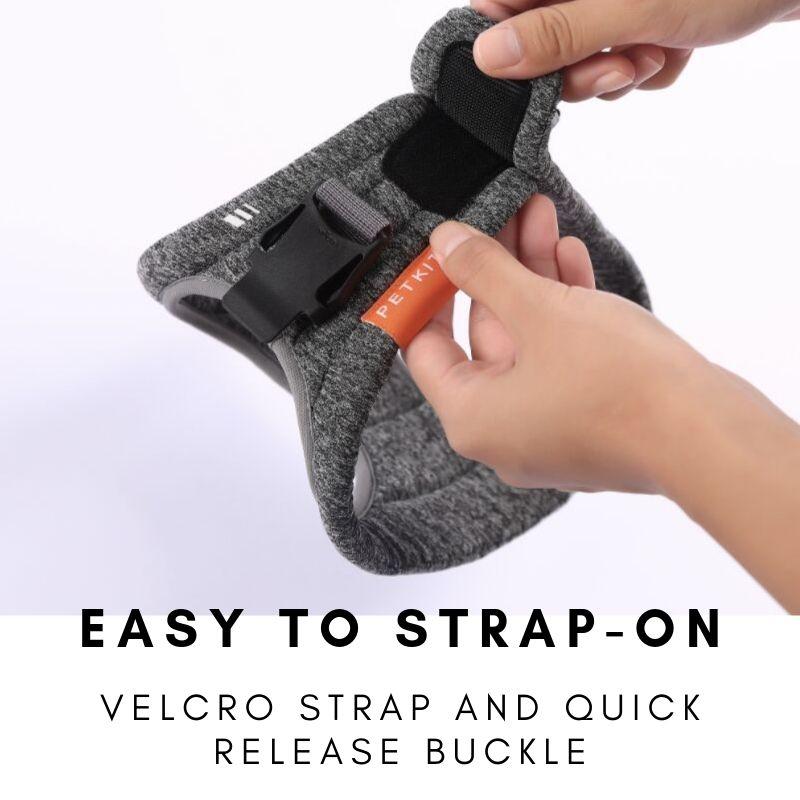 Air Pro Dog Harness - Zoomies