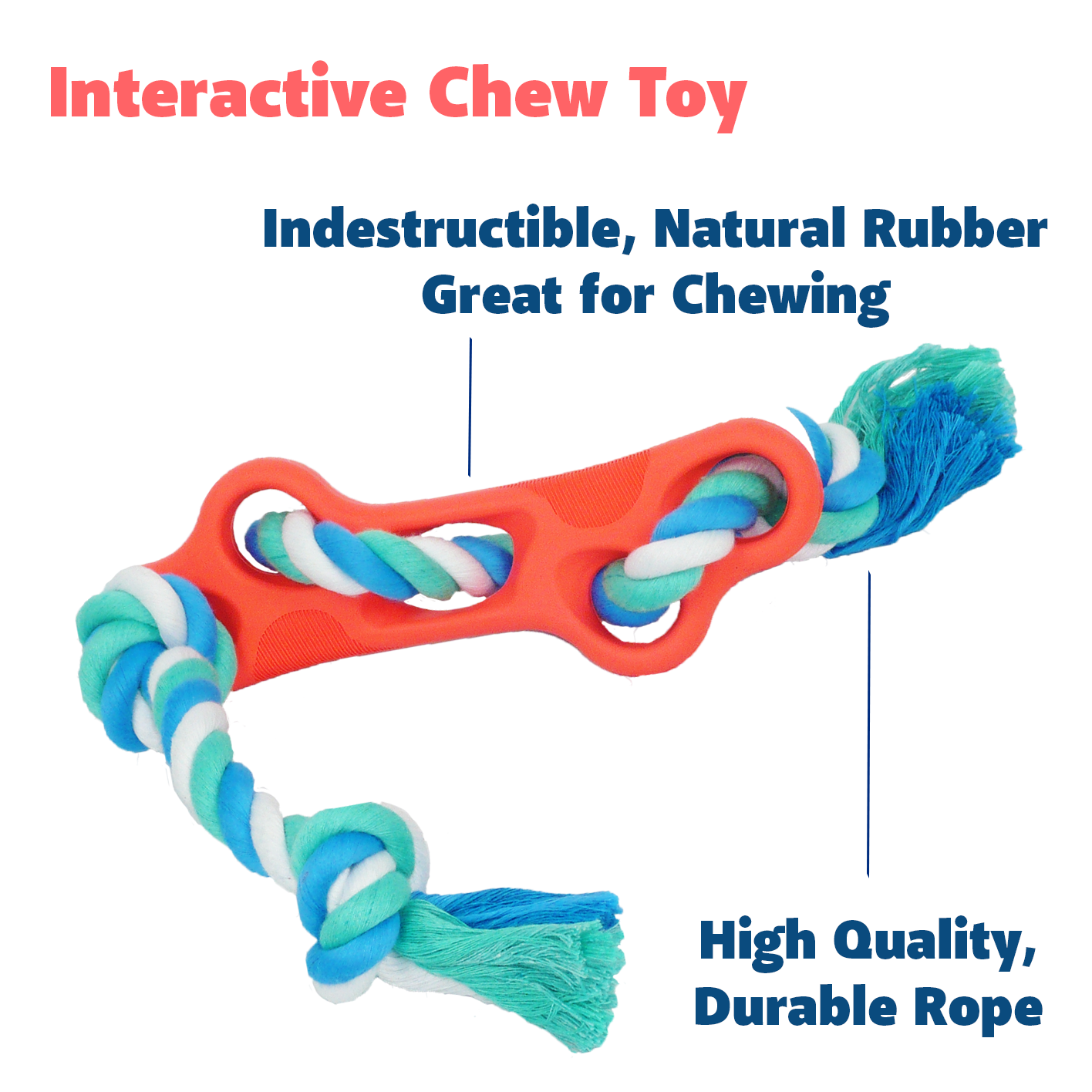 Rubber Bone Dog Chew Toy - Zoomies