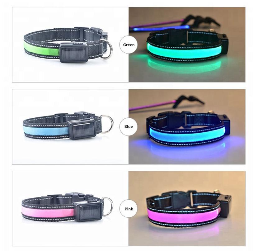 Solar Charge Reflective Led Collar - Zoomies
