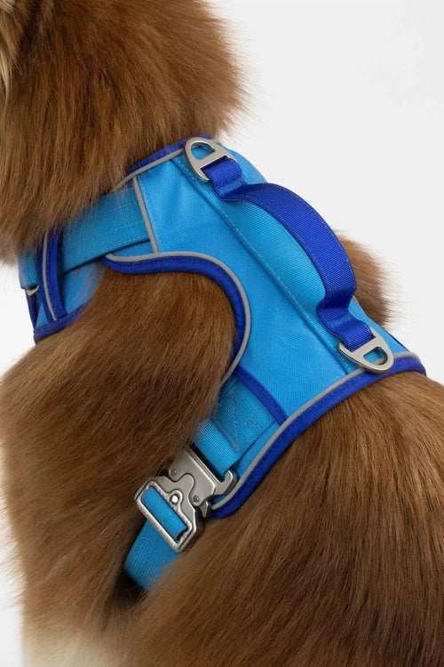 Ultimate Designer Dog Harness - Zoomies