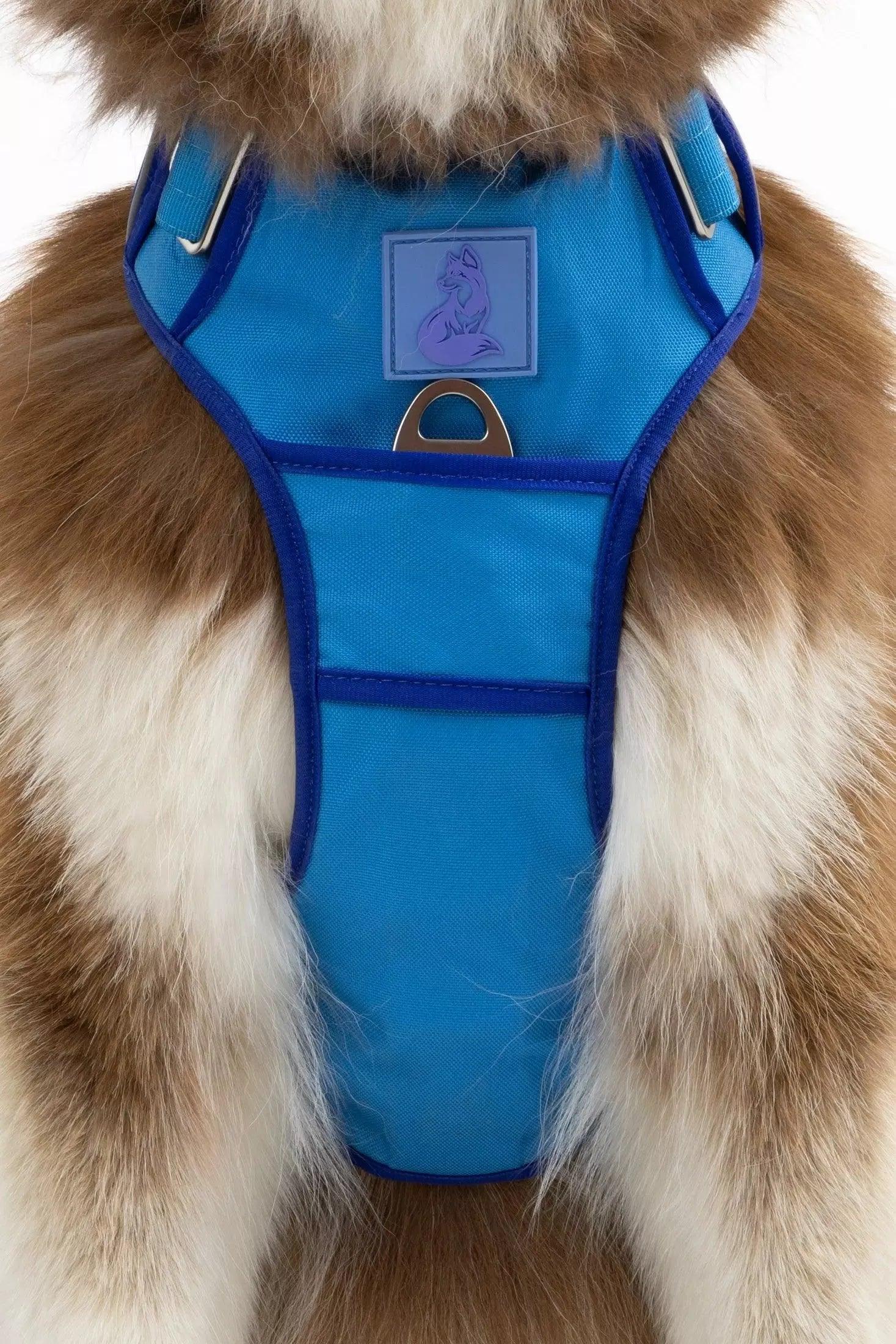 Ultimate Designer Dog Harness - Zoomies