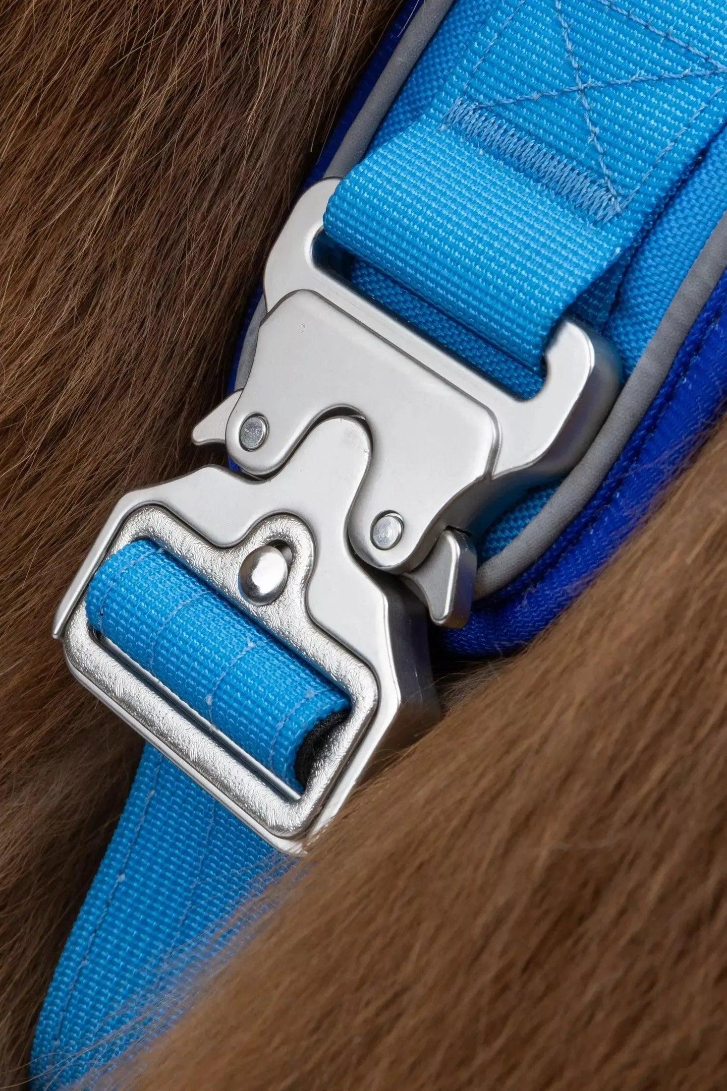 Ultimate Designer Dog Harness - Zoomies