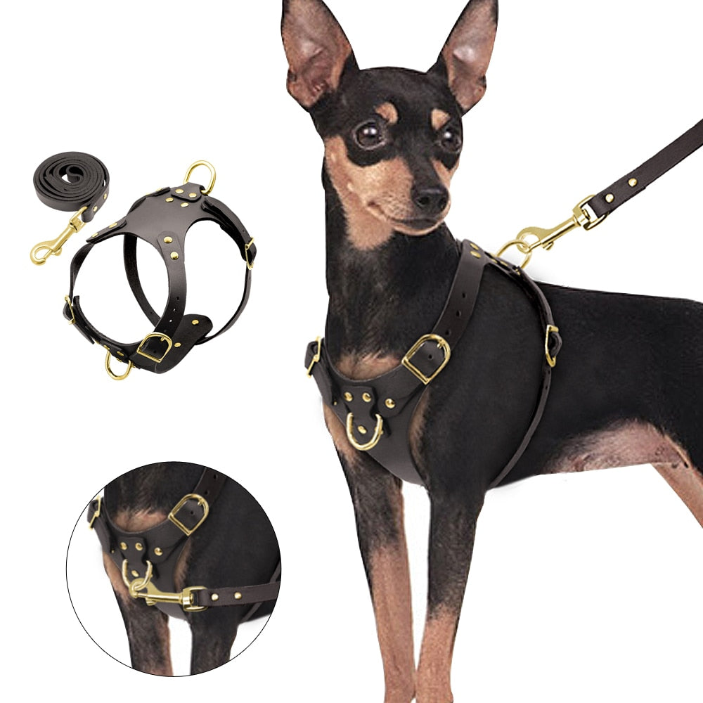 Genuine Leather Pet Harness - Zoomies