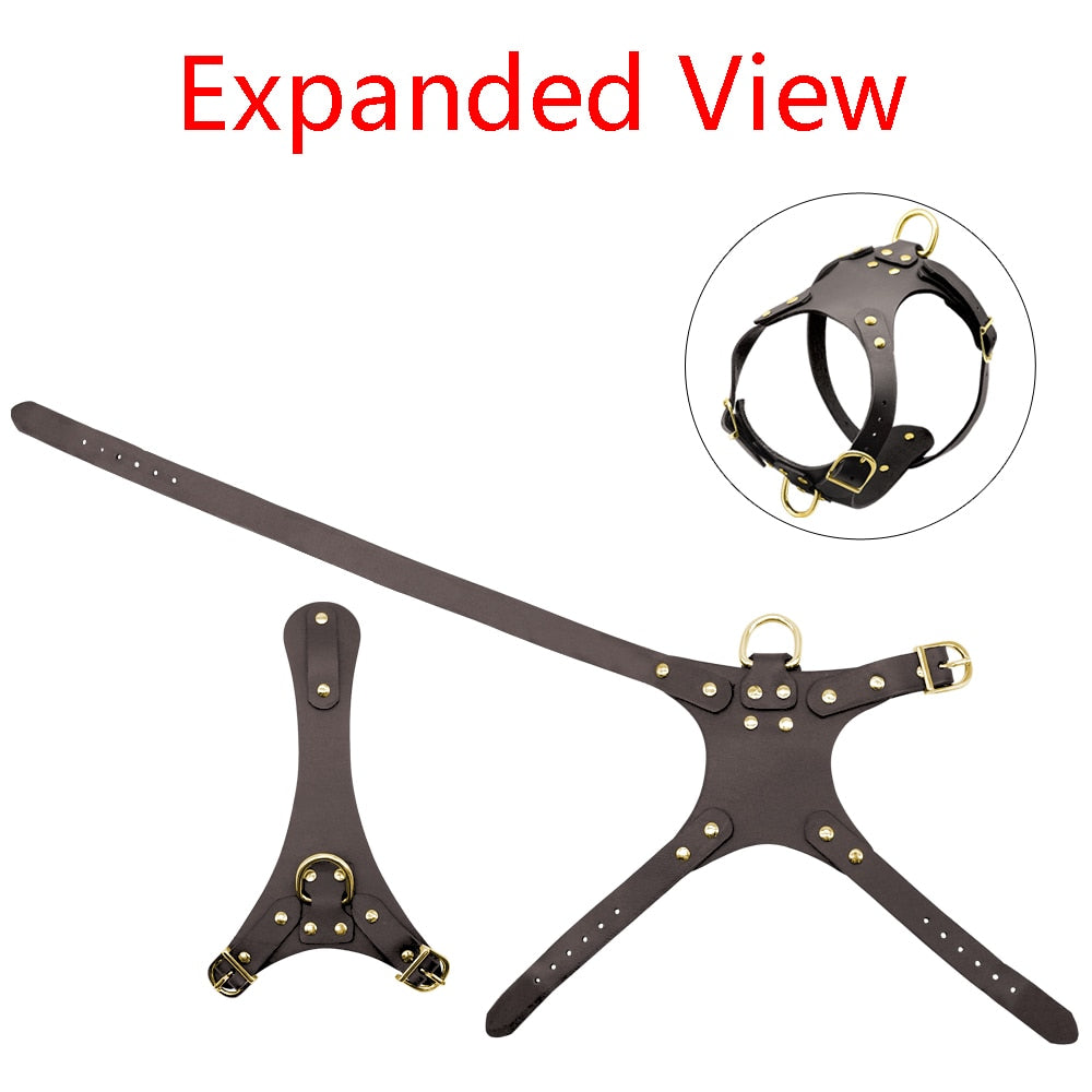 Genuine Leather Pet Harness - Zoomies